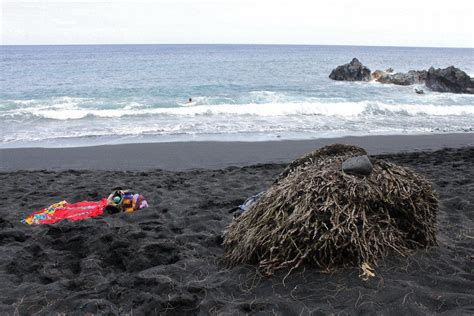 the nude bay|24 of the best nude beaches around the world 